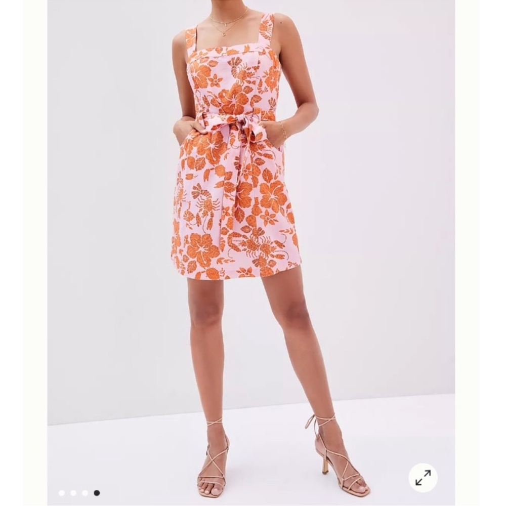 Farm Rio Anthropologie Floral Mini Dress in Pink NWT - Picture 4 of 9